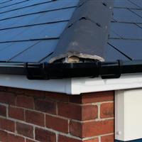 new-fascia